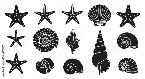 Black silhouettes of various starfish and seashells on a white background, depicting diverse marine life elements and patterns.