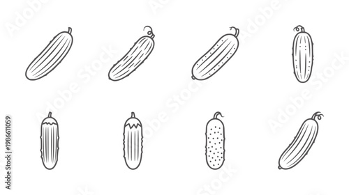 Eight Hand Drawn Cucumber Varieties With Different Textures And Shapes vegetable