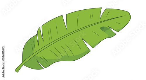 A large green leaf with jagged edges and dark lines