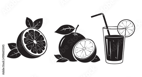 Orange fruit and fresh juice glass vector illustration set
