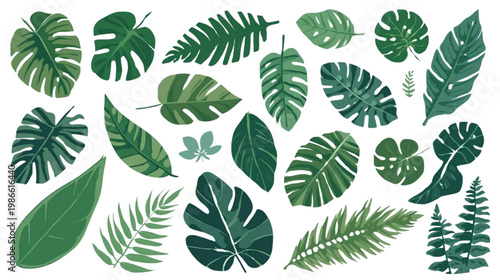 Tropical Green Leaf Collection: An array of verdant tropical leaves, meticulously arranged, showcases the exquisite variety and intricate forms of nature's artistry.