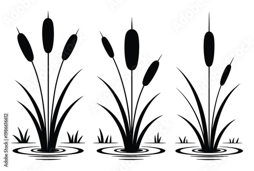 Black Silhouette of Cattails Growing in Water with Ripples