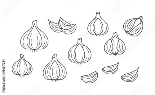 Hand drawn outline garlic bulbs and cloves scattered white food ingredient