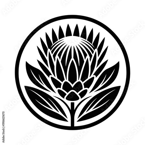 Vector set of various high heels and boots, featuring different styles of elegant women's footwear and shoes