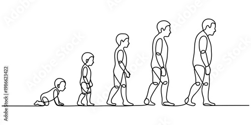 Continuous line drawing showing the stages of human life from a crawling baby to an elderly man