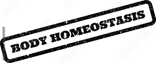 Distressed black rubber stamp with the phrase Body Homeostasis, representing a scientific or medical concept