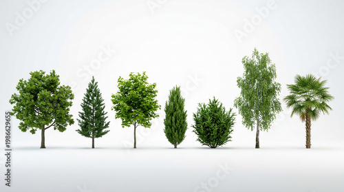 Variety of trees in a row.
