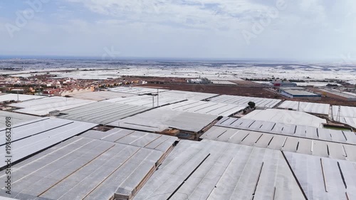 greenhouse capitalism field agriculture plastic sea texture infinite pattern invasion earth terra forming invernaderos intensive farming landscape drone skyline - Andalusia, Spain - 2025