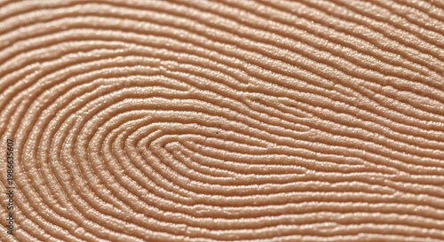 Macro Extreme Close Up Of Human Fingerprint Showing Intricate Ridge Patterns In Natural Skin Tone And Lighting