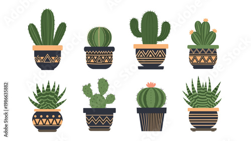 Row of various decorative cacti and succulents in earthy patterned pots illustrated in a clean flat style on a white background.