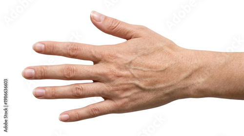 Quadro su tela Close-up of a person's left hand, palm facing upwards, with visible veins and a