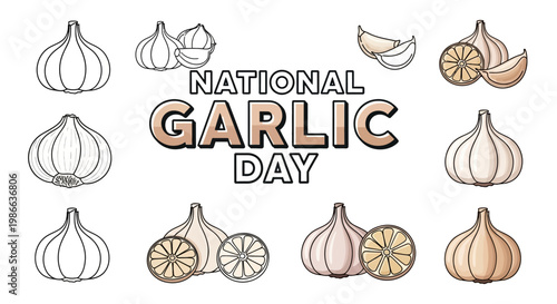 A set of garlic illustrations in vector format celebrates National Garlic Day with fresh garlic cloves and bulbs, some in color and some in outline, presented against a clean white