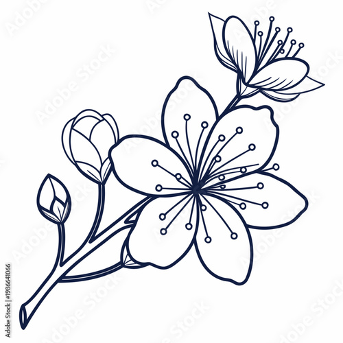 A minimalist line art illustration of a cherry blossom branch with flowers and buds