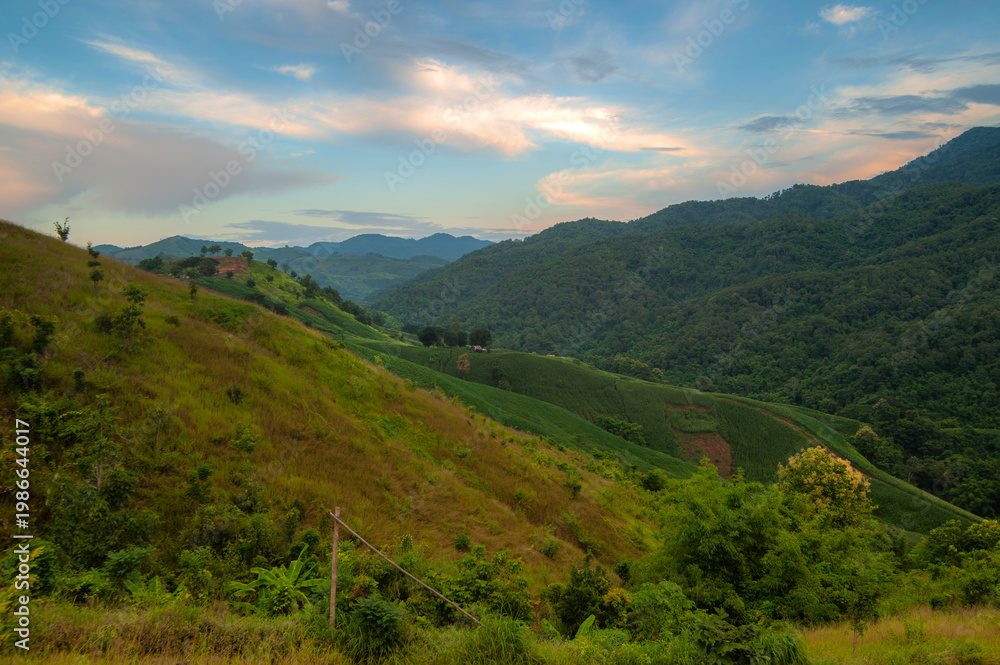 Fototapeta premium Lush green hills and mountains in the dense forest, in the evening.