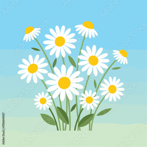 A bunch of white and yellow flowers