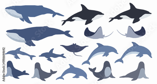 Ocean mammals vector set with whale killer whale stingray and cartoon sea animals isolated on white background
