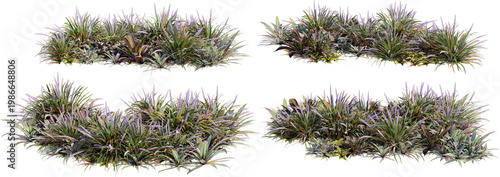 A garden decorated with flowers and small grass on a transparent background.