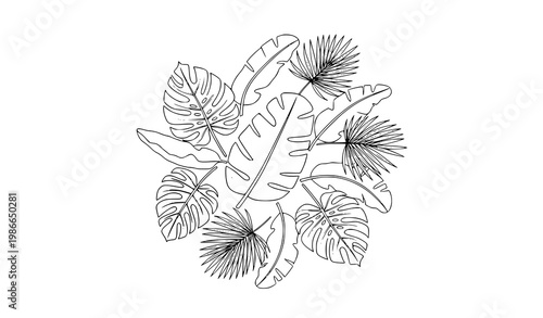 Hand drawn tropical leaf sketch vector in circular composition for organic branding and natural product packaging design