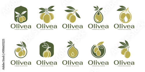 A collection of modern olive oil logos with a flat and clean style, featuring fresh olives and leaves for a premium brand identity.