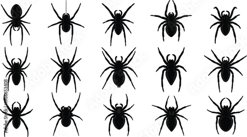 Set of Black Spider Silhouette Icons Featuring Various Arachnid Shapes and Leg Positions for Halloween Decorations Spooky Nature Illustrations and Horror Graphic Designs