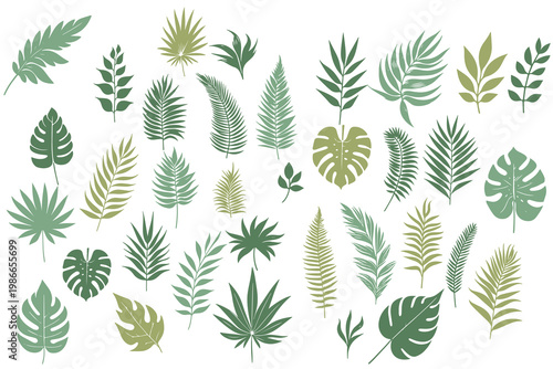 Leaf patterns collection in flat botanical illustration style for modern branding and design applications