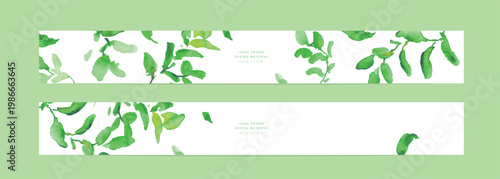 水彩画。水彩タッチの夏の緑の葉っぱイラスト。緑の葉のベクターイラスト。Watercolor painting. Watercolor-style illustration of summer green leaves. Vector illustration of green leaves.