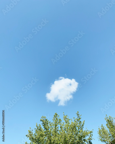 Single fluffy white cloud in clear blue sky over lush green trees