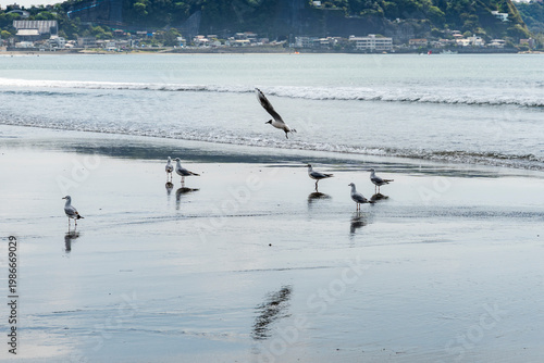 春の海岸での出会い