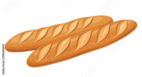 Two freshly baked long French baguette loaves with golden brown crust and traditional score marks on a clean white background for food design.