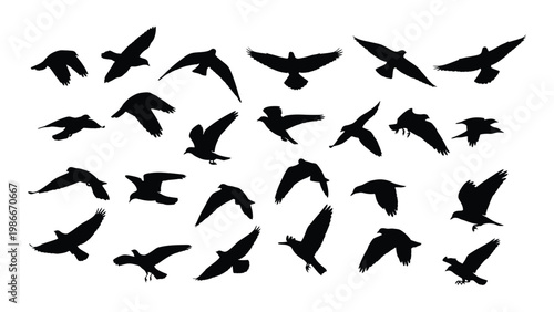 A flock of black birds in flight silhouetted against a stark white background high quality professional