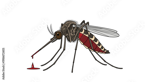 Detailed illustration of a mosquito insect with a blood filled abdomen standing next to a small drop of red blood.