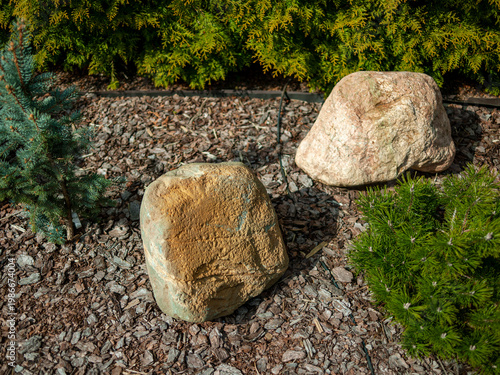 big rocks in a small garden