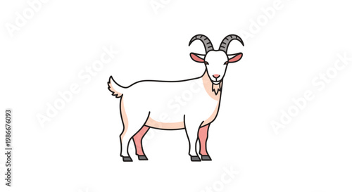 A domesticated farm animal with impressive curved horns stands facing forward showcasing its white coat and characteristic beard on a plain backdrop representing livestock and rural environments
