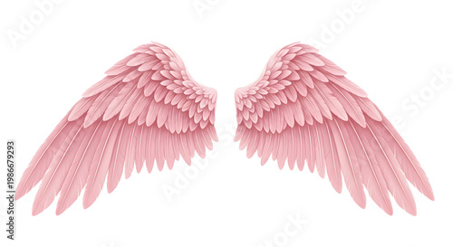 Pair Of Pink Angelic Wings Detailed Feathery Texture isolated On transparent Background