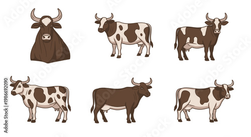 Brown and White Spotted Cow Illustrations.