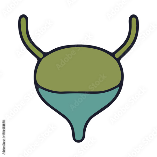 Human Urinary Bladder Anatomy Icon