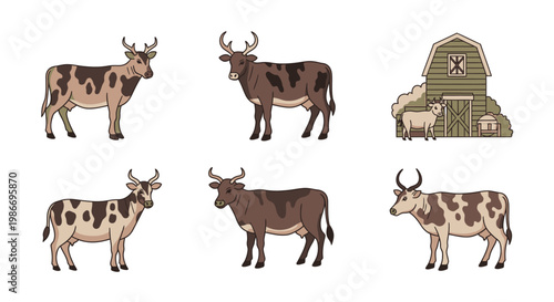 Brown and white cows standing still 1.