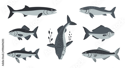 School of fish swimming together ocean.