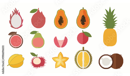 Exotic fruits flat design set – minimal tropical vector illustration