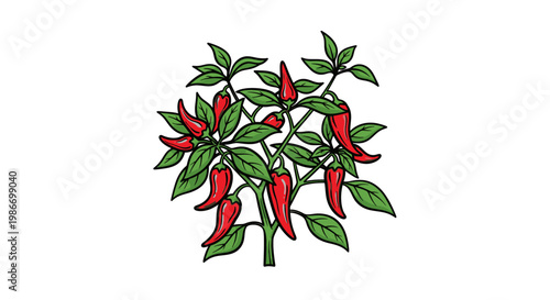 Red hot chili pepper plant closeup.