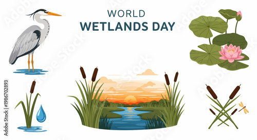 Foto World Wetlands Day illustration featuring a grey heron water lily sunset river l