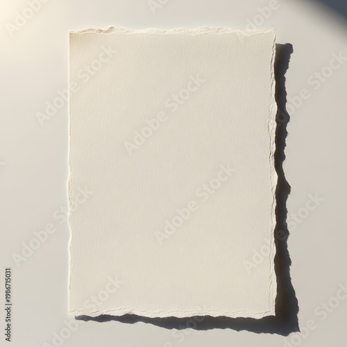 Blank Textured Paper Card with Torn Edges, Isolated on Transparent Background