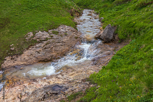 Alpine meadows with flowers and green vegetation in summer, the sources of a mountain river