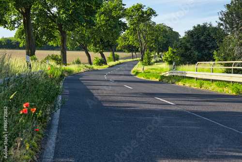 Winding Country Road with Red Poppies in Summer Landscape at Golden Hour
