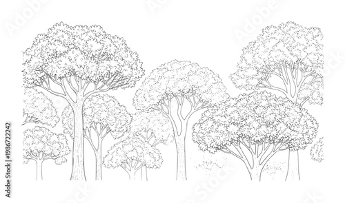 Line of a dense forest canopy with varied tree shapes trees black