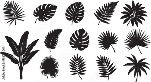 Schilderij op canvas Tropical Green Leaf Collection: An array of verdant tropical leaves, meticulousl