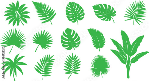 Obraz na płótnie Tropical Green Leaf Collection: An array of verdant tropical leaves, meticulousl