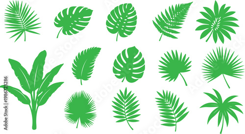 Foto Tropical Green Leaf Collection: An array of verdant tropical leaves, meticulousl