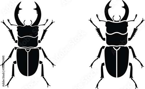 Stag beetle silhouettes with large antlers on white background
