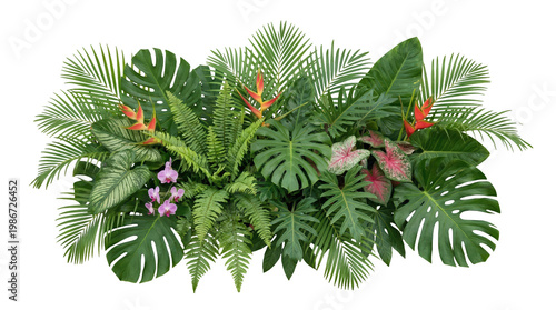 Tropical plant arrangements featuring monstera, palm leaves, ferns, and exotic flowers isolated on transparent background, 3D render set. 